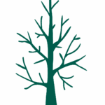 Schadholzaufarbeitungen