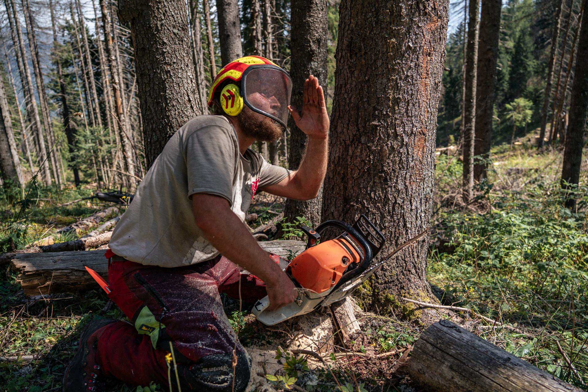 Gabriel_GT_edit_©BiB142