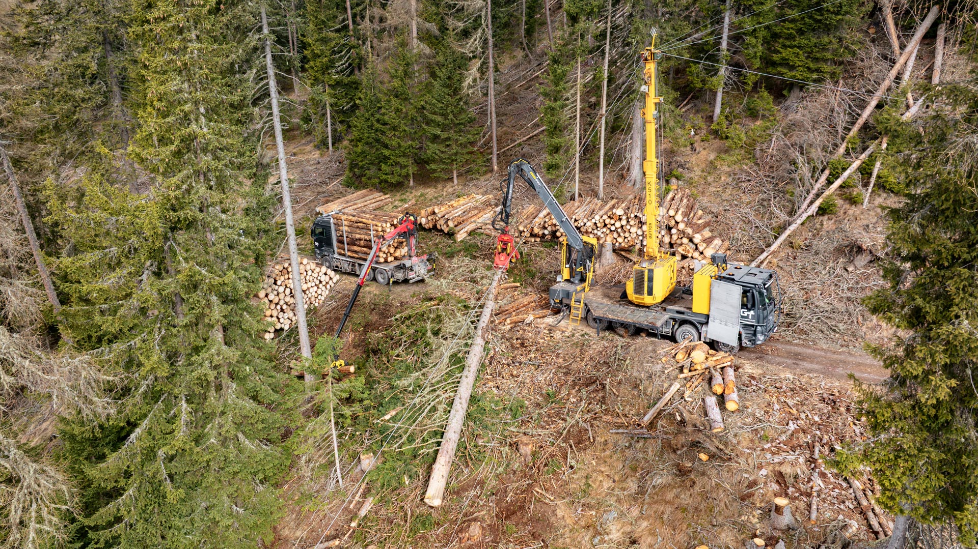 Koller Kombimaschine von der Firma GT-Forstservice aus Osttirol bei der Holzernte in steilem Gelände.