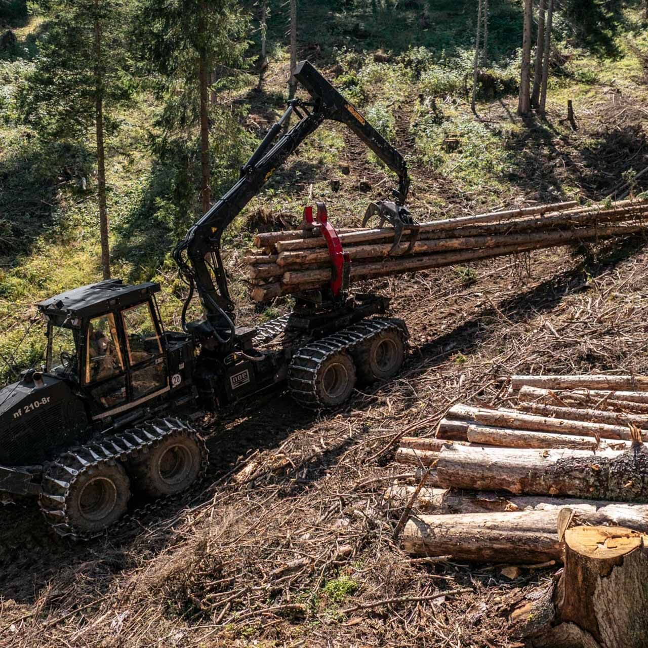 Forwarder der Firma GT-Forstservice aus Osttirol - Ansicht 4