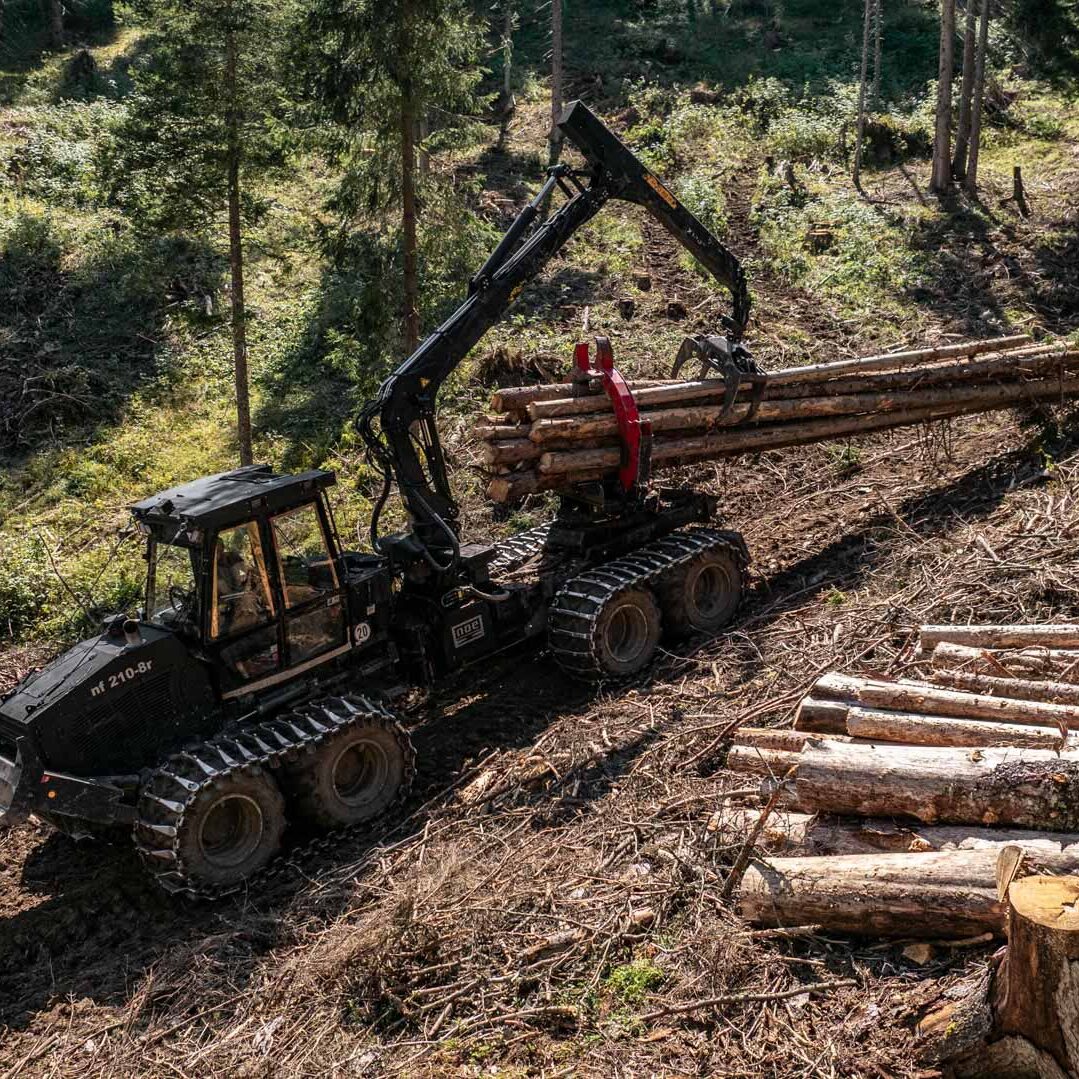 Steilhangernte mit Forwarder, durchgeführt von der Firma GT Forstservice aus Osttirol